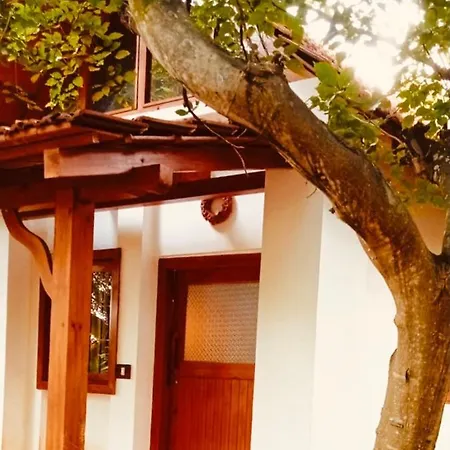 Little Things Earth - Pine Villa Auroville Exterior photo