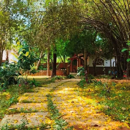 Little Things Earth - Pine Villa Auroville Exterior photo