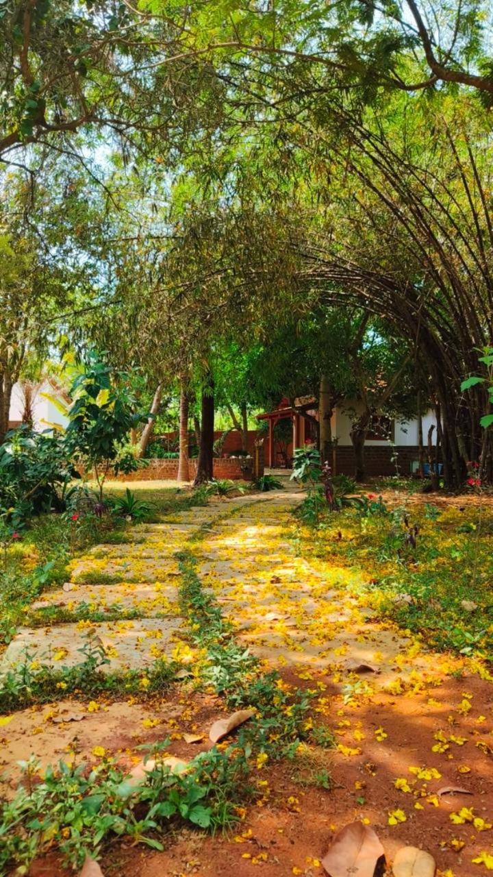 Country house Little Things Earth - Pine Auroville